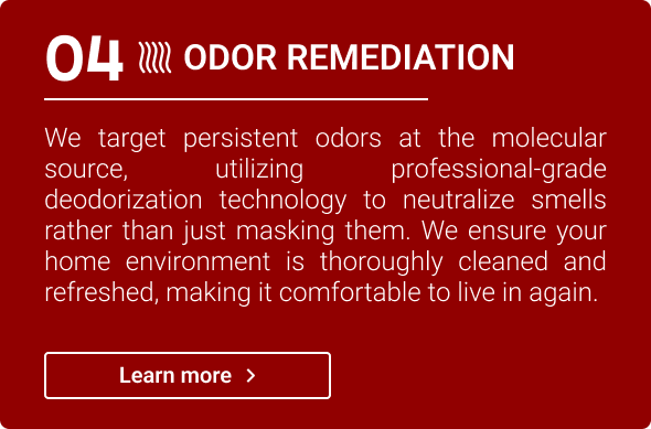 Odor Removal Service