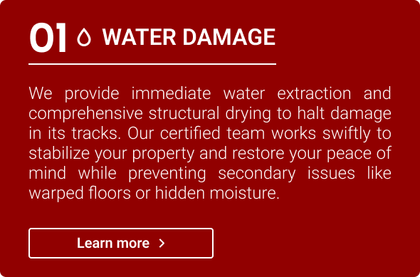 Water Damage Restoration